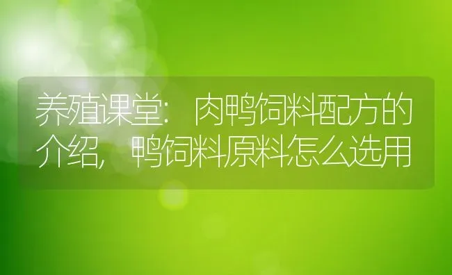 养殖课堂:肉鸭饲料配方的介绍,鸭饲料原料怎么选用 | 养殖常见问题