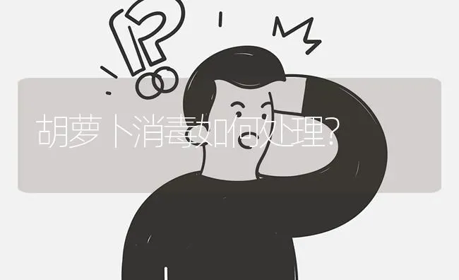 胡萝卜消毒如何处理? | 养殖问题解答