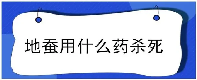 地蚕用什么药杀死 | 生活常识