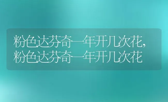 粉色达芬奇一年开几次花,粉色达芬奇一年开几次花 | 养殖常见问题