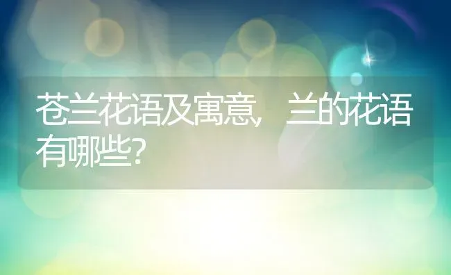 苍兰花语及寓意,兰的花语有哪些？ | 养殖常见问题