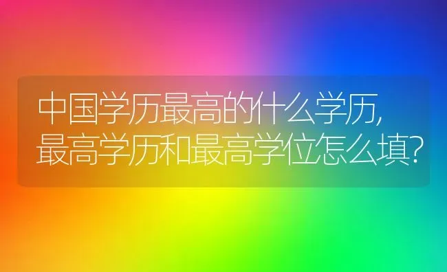 中国学历最高的什么学历,最高学历和最高学位怎么填？ | 养殖常见问题