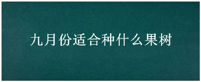 九月份适合种什么果树 | 生活常识