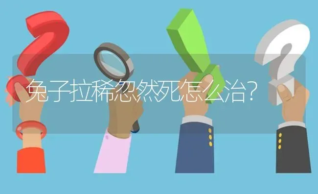兔子拉稀忽然死怎么治? | 养殖问题解答