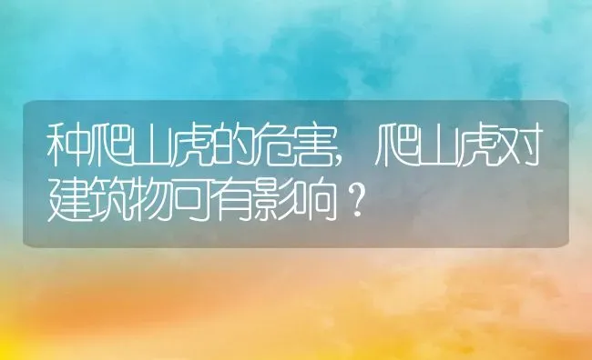 种爬山虎的危害,爬山虎对建筑物可有影响？ | 养殖常见问题