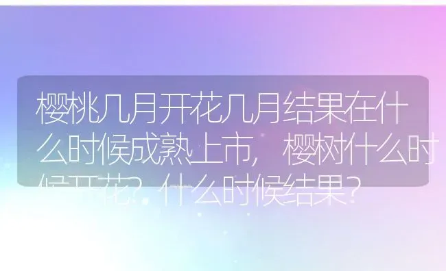 樱桃几月开花几月结果在什么时候成熟上市,樱树什么时候开花?什么时候结果？ | 养殖常见问题