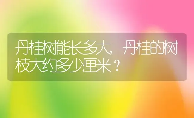 丹桂树能长多大,丹桂的树枝大约多少厘米？ | 养殖常见问题