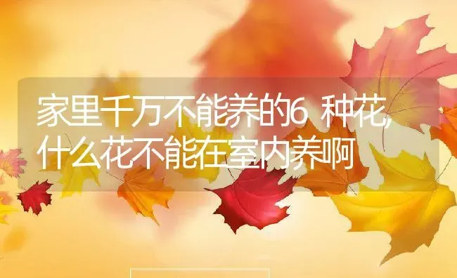 家里千万不能养的6种花,什么花不能在室内养啊 | 养殖常见问题