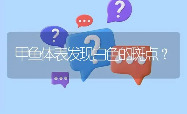 甲鱼体表发现白色的斑点? | 养殖问题解答