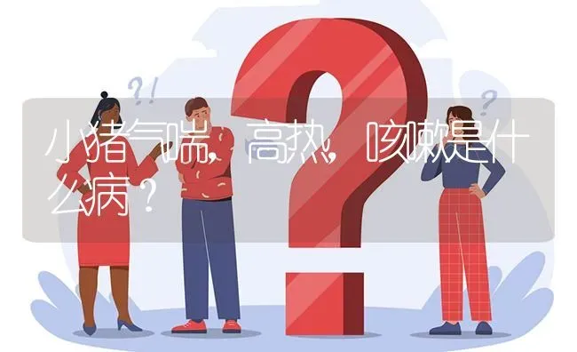 小猪气喘,高热,咳嗽是什么病? | 养殖问题解答