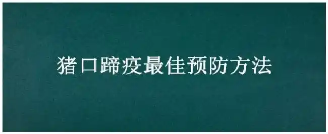 猪口蹄疫最佳预防方法 | 三农问答