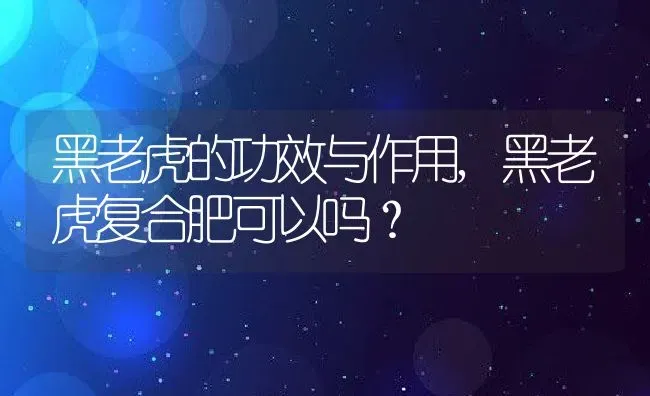 黑老虎的功效与作用,黑老虎复合肥可以吗？ | 养殖常见问题