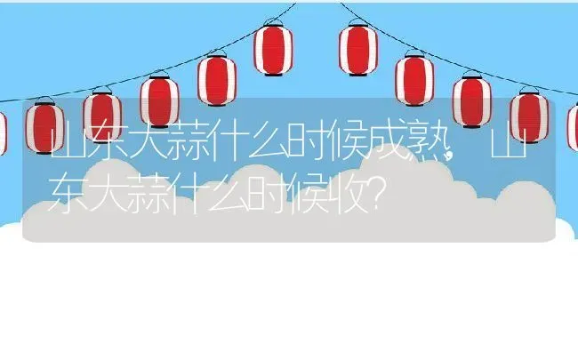 山东大蒜什么时候成熟,山东大蒜什么时候收？ | 养殖常见问题