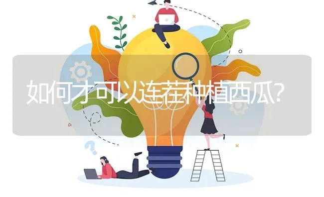 如何才可以连茬种植西瓜? | 养殖问题解答