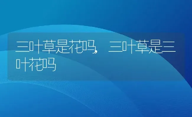 郑和最后死在什么地方,郑和最后死在什么地方 | 养殖常见问题