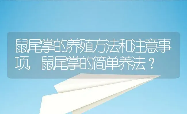 鼠尾掌的养殖方法和注意事项,鼠尾掌的简单养法？ | 养殖常见问题