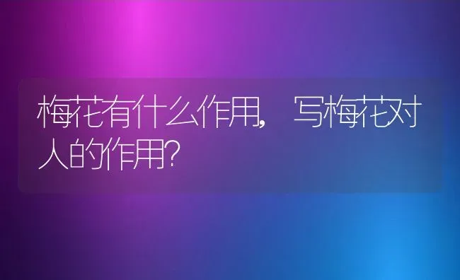 梅花有什么作用,写梅花对人的作用？ | 养殖常见问题