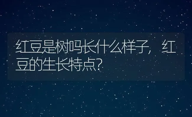 红豆是树吗长什么样子,红豆的生长特点？ | 养殖常见问题