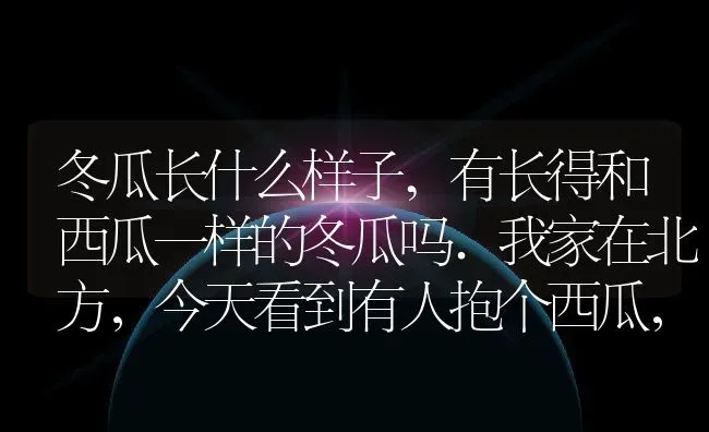 冬瓜长什么样子,有长得和西瓜一样的冬瓜吗.我家在北方，今天看到有人抱个西瓜，结果人家说是冬瓜。样子和西瓜无异？ | 养殖常见问题