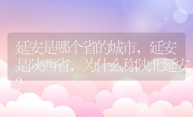 延安是哪个省的城市,延安是陕西省，为什么称陕北延安？ | 养殖常见问题