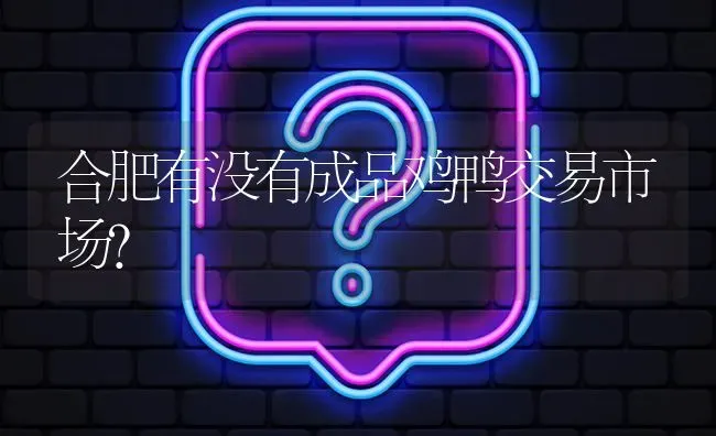 合肥有没有成品鸡鸭交易市场? | 养殖问题解答