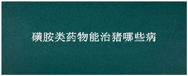 磺胺类药物能治猪哪些病 | 三农答疑