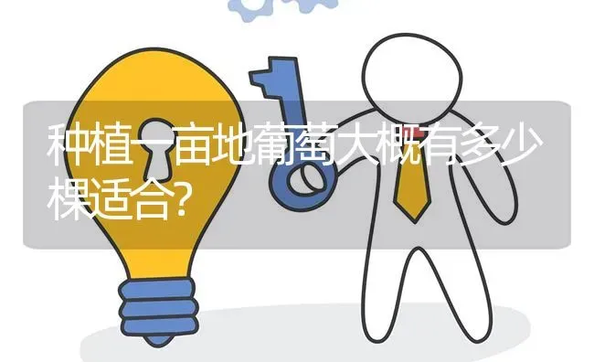 种植一亩地葡萄大概有多少棵适合? | 养殖问题解答