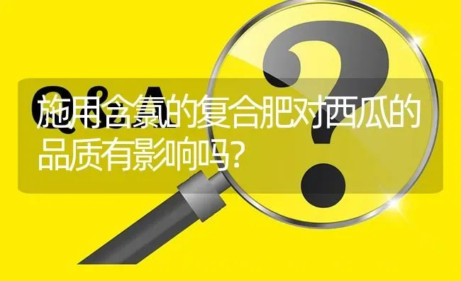 施用含氯的复合肥对西瓜的品质有影响吗? | 养殖问题解答