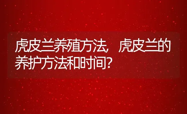 虎皮兰养殖方法,虎皮兰的养护方法和时间？ | 养殖常见问题