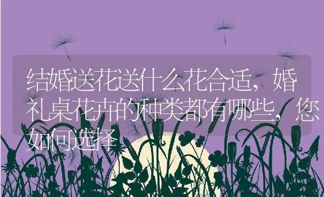 结婚送花送什么花合适,婚礼桌花卉的种类都有哪些，您如何选择 | 养殖常见问题