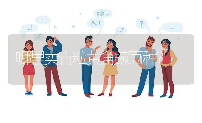 哪里卖青粒黄角豌豆种? | 养殖问题解答