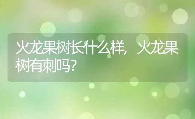 火龙果树长什么样,火龙果树有刺吗？ | 养殖常见问题