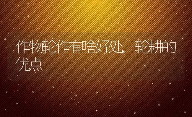 作物轮作有啥好处,轮耕的优点 | 养殖常见问题