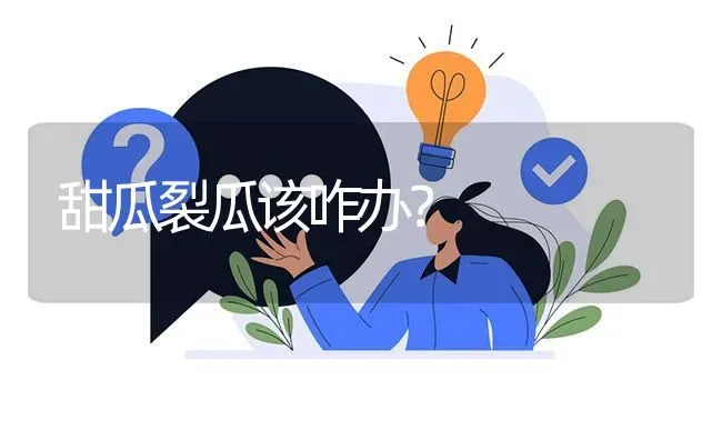 甜瓜裂瓜该咋办? | 养殖问题解答