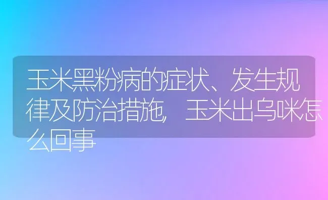 玉米黑粉病的症状、发生规律及防治措施,玉米出乌咪怎么回事 | 养殖常见问题