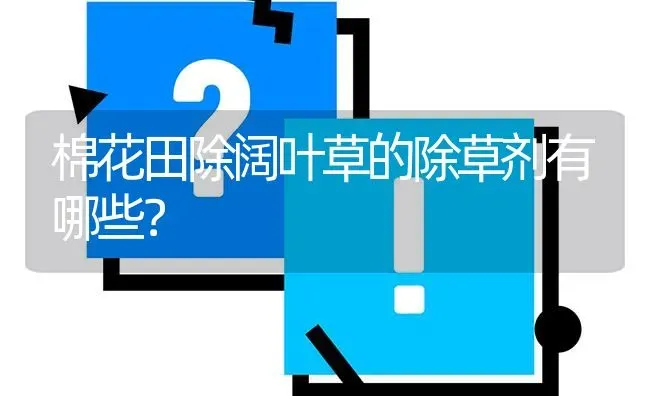 棉花田除阔叶草的除草剂有哪些? | 养殖问题解答