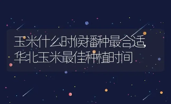 玉米什么时候播种最合适,华北玉米最佳种植时间 | 养殖常见问题