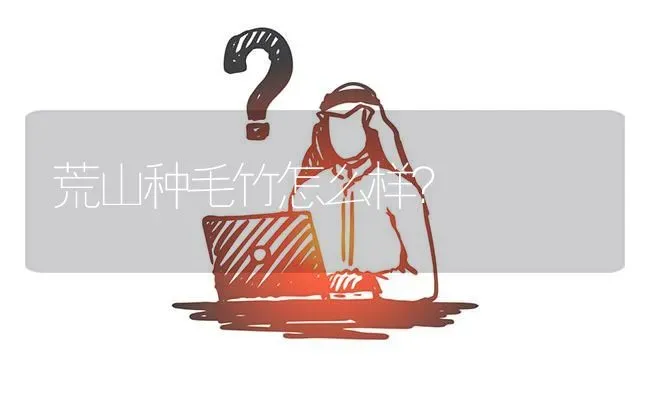 荒山种毛竹怎么样? | 养殖问题解答