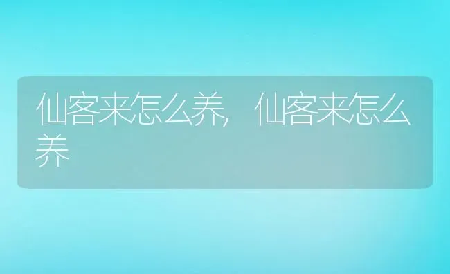 仙客来怎么养,仙客来怎么养 | 养殖常见问题