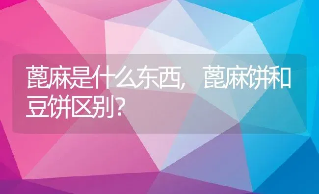 蓖麻是什么东西,蓖麻饼和豆饼区别？ | 养殖常见问题