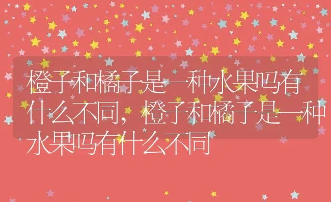 橙子和橘子是一种水果吗有什么不同,橙子和橘子是一种水果吗有什么不同 | 养殖常见问题