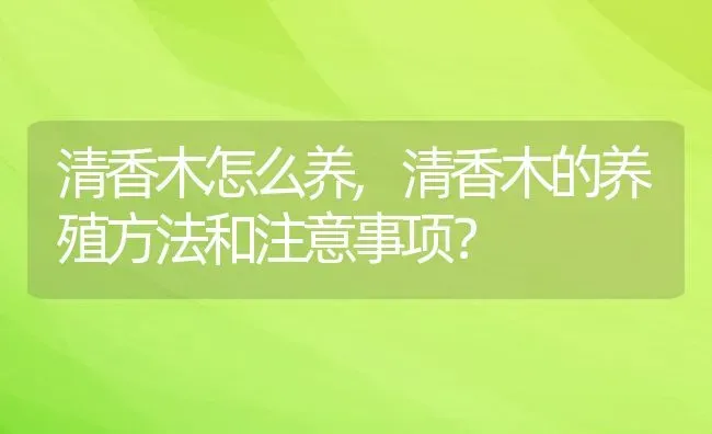 清香木怎么养,清香木的养殖方法和注意事项？ | 养殖常见问题