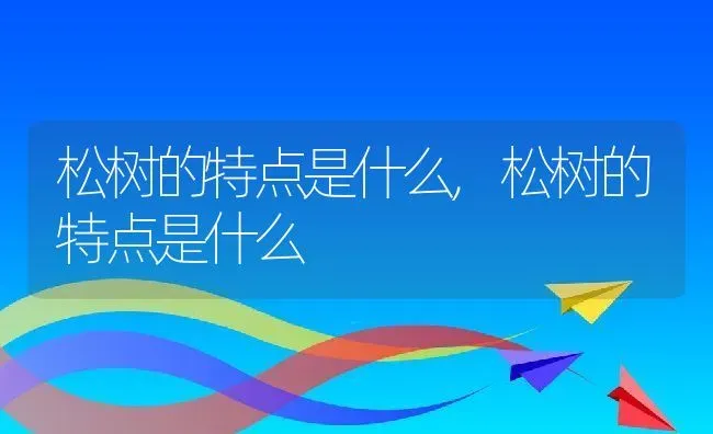 松树的特点是什么,松树的特点是什么 | 养殖常见问题