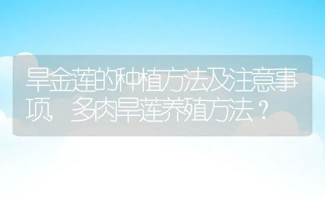 旱金莲的种植方法及注意事项,多肉旱莲养殖方法？ | 养殖常见问题