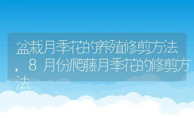 盆栽月季花的养殖修剪方法,8月份爬藤月季花的修剪方法 | 养殖常见问题