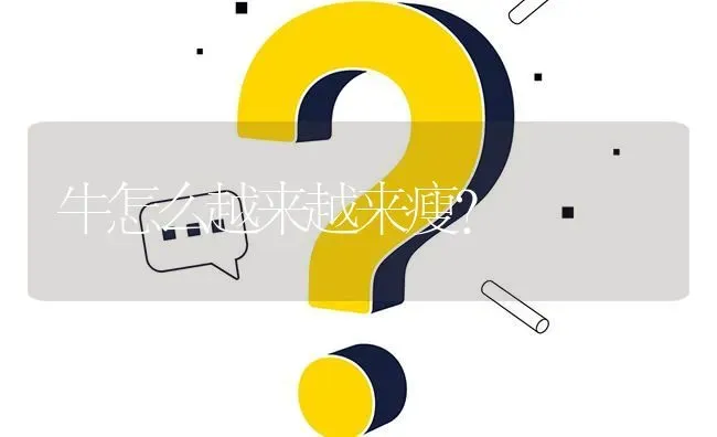 牛怎么越来越来瘦? | 养殖问题解答