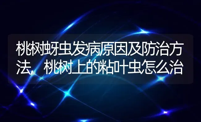 桃树蚜虫发病原因及防治方法,桃树上的粘叶虫怎么治 | 养殖常见问题