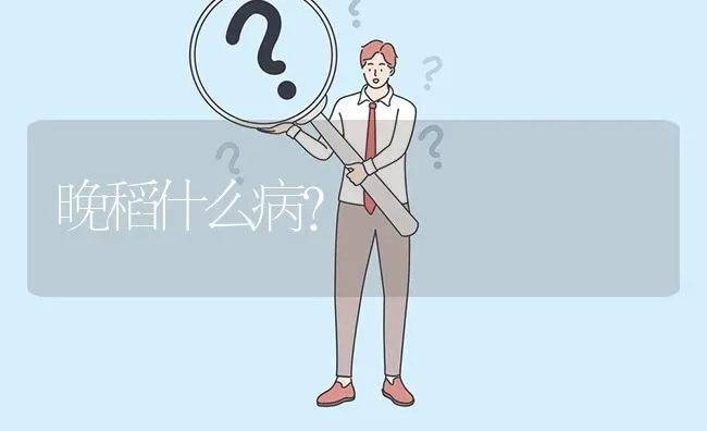 晚稻什么病? | 养殖问题解答