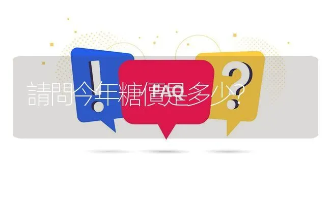 請問今年糖價是多少? | 养殖问题解答