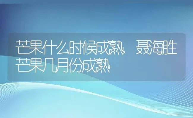 芒果什么时候成熟,聂海胜芒果几月份成熟 | 养殖常见问题